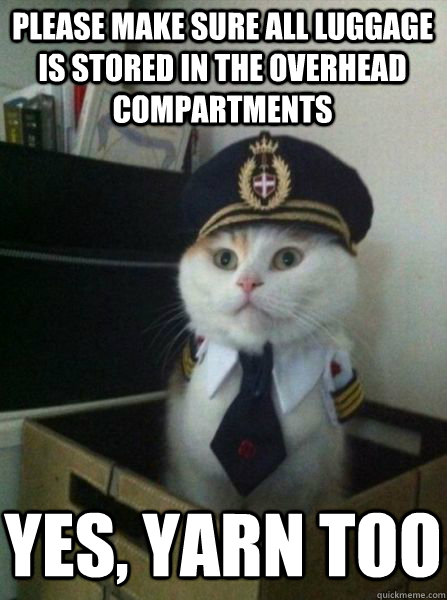 Please make sure all luggage is stored in the overhead compartments Yes, yarn too - Please make sure all luggage is stored in the overhead compartments Yes, yarn too  Captain kitteh