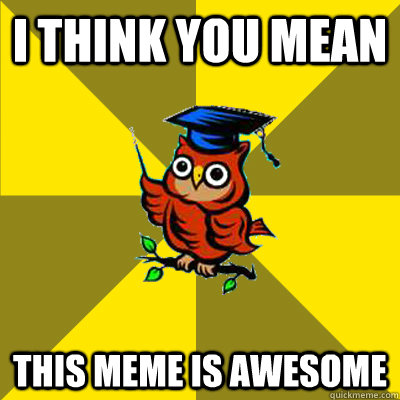 i think you mean this meme is awesome - i think you mean this meme is awesome  Observational Owl