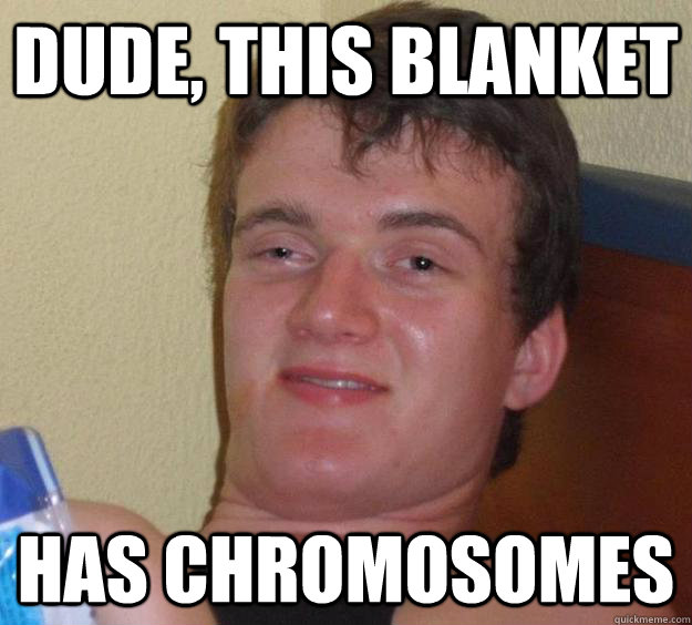 dude, this blanket has chromosomes - dude, this blanket has chromosomes  10 Guy