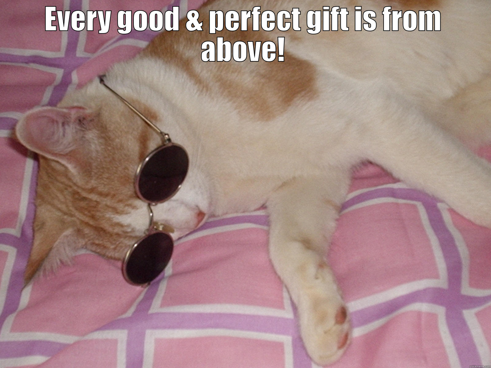 EVERY GOOD & PERFECT GIFT IS FROM ABOVE!  Misc