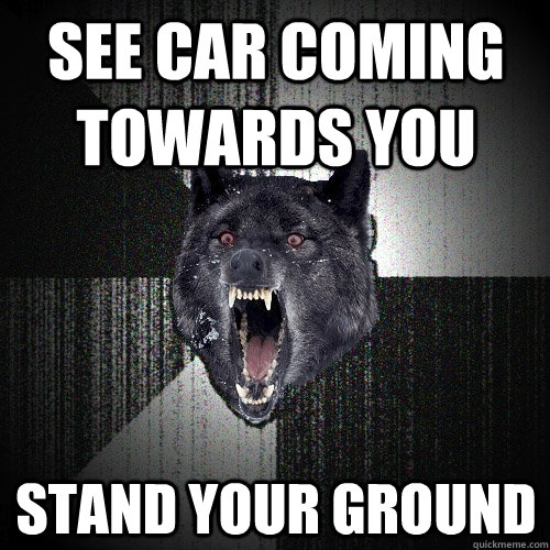 see car coming towards you stand your ground  Insanity Wolf