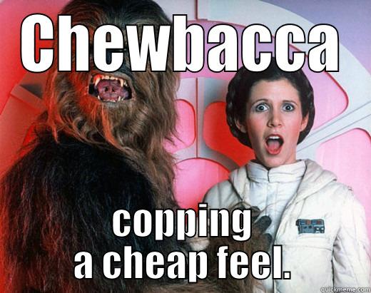 CHEWBACCA COPPING A CHEAP FEEL. Misc