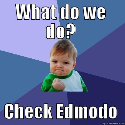 WHAT DO WE DO?   CHECK EDMODO  Success Kid