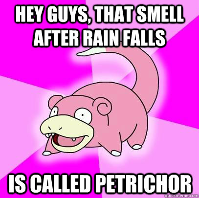 hey guys, that smell after rain falls is called petrichor  - hey guys, that smell after rain falls is called petrichor   Slowpoke