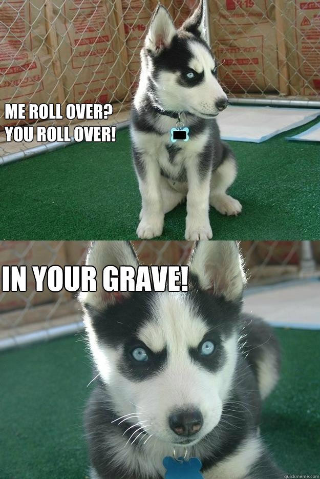 Me roll over?
You roll over! IN YOUR GRAVE!  Insanity puppy