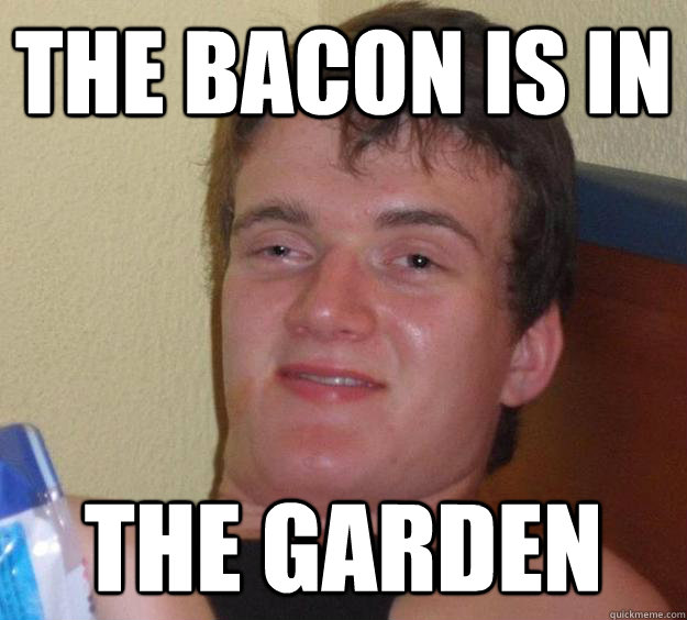 The bacon is in THE GARDEN - The bacon is in THE GARDEN  10 Guy