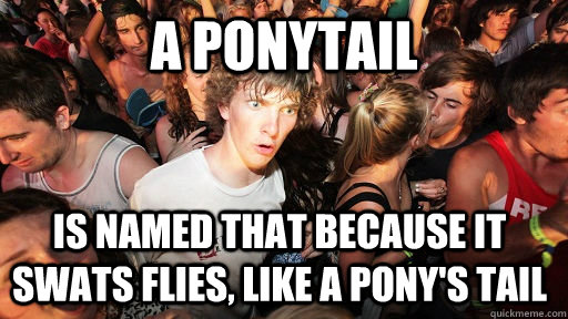 A ponytail is named that because it swats flies, like a pony's tail - A ponytail is named that because it swats flies, like a pony's tail  Sudden Clarity Clarence