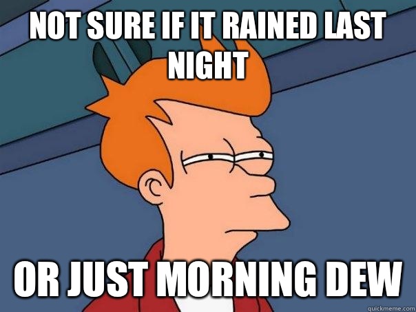 Not sure if it rained last night Or just morning dew - Not sure if it rained last night Or just morning dew  Futurama Fry