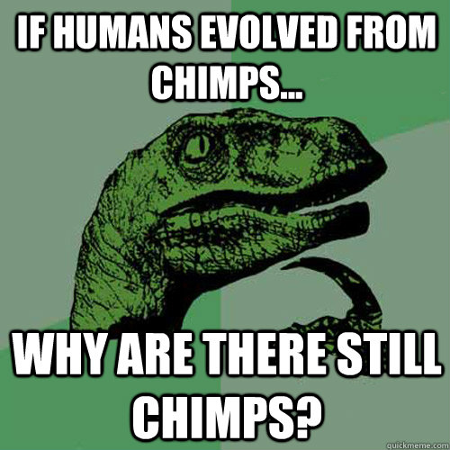 if humans evolved from chimps... why are there still chimps?  Philosoraptor