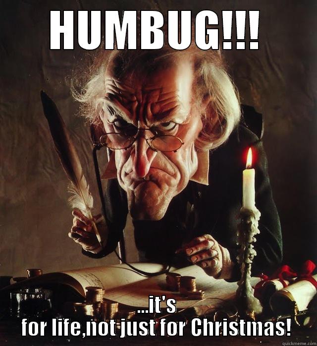 Humbug for life - HUMBUG!!! ...IT'S FOR LIFE,NOT JUST FOR CHRISTMAS! Misc