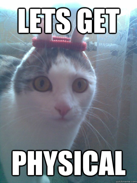 LETS GET  PHYSICAL  SWEAT BAND CAT