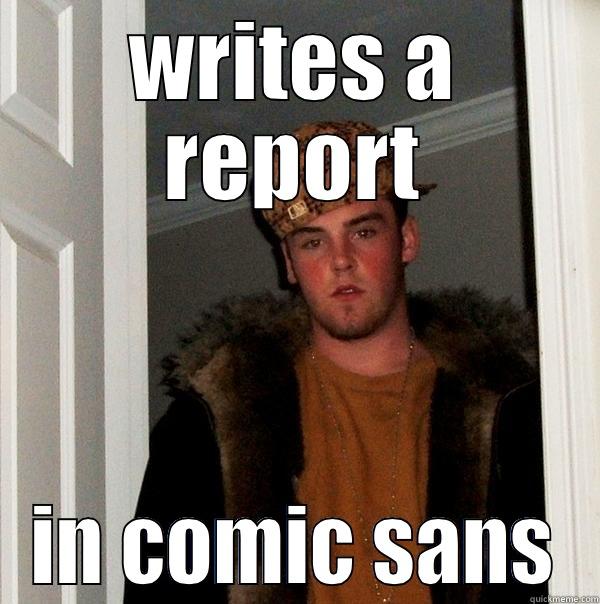 WRITES A REPORT IN COMIC SANS Scumbag Steve