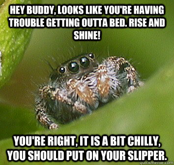 Hey buddy, looks like you're having trouble getting outta bed. Rise and shine! You're right, it is a bit chilly, you should put on your slipper.   Misunderstood Spider