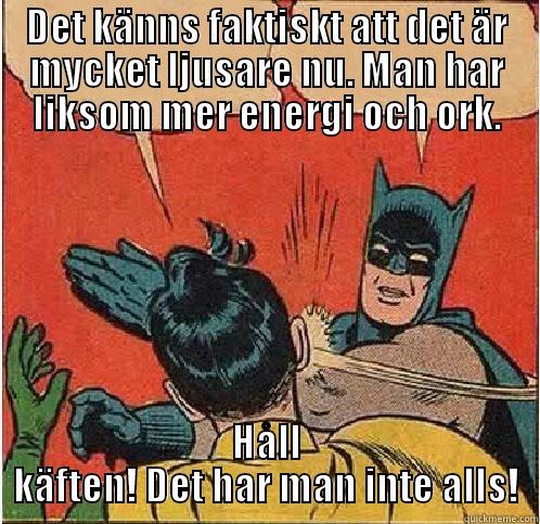 DET KÄNNS FAKTISKT ATT DET ÄR MYCKET LJUSARE NU. MAN HAR LIKSOM MER ENERGI OCH ORK. HÅLL KÄFTEN! DET HAR MAN INTE ALLS! Batman Slapping Robin