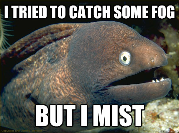 I tried to catch some fog But i mist - I tried to catch some fog But i mist  Bad Joke Eel