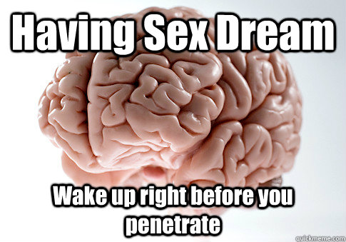 Having Sex Dream Wake up right before you penetrate   Scumbag Brain