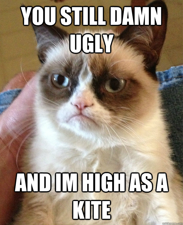 YOU STILL DAMN UGLY AND IM HIGH AS A KITE  Grumpy Cat