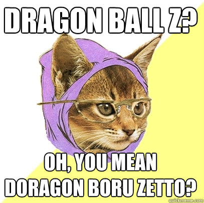 Dragon Ball z? Oh, you mean Doragon boru zetto?  Hipster Kitty