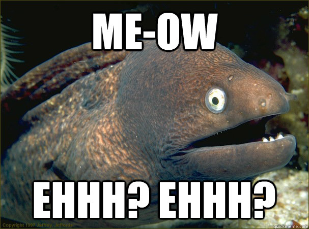 me-Ow ehhh? ehhh? - me-Ow ehhh? ehhh?  Bad Joke Eel