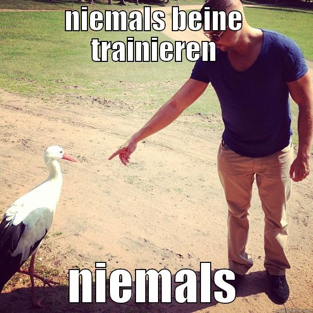 kollegah der storch :D - NIEMALS BEINE TRAINIEREN NIEMALS Misc