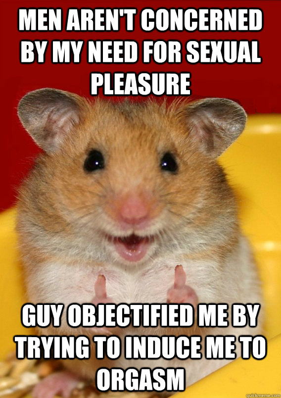 Men aren't concerned by my need for sexual pleasure Guy objectified me by trying to induce me to orgasm   Rationalization Hamster