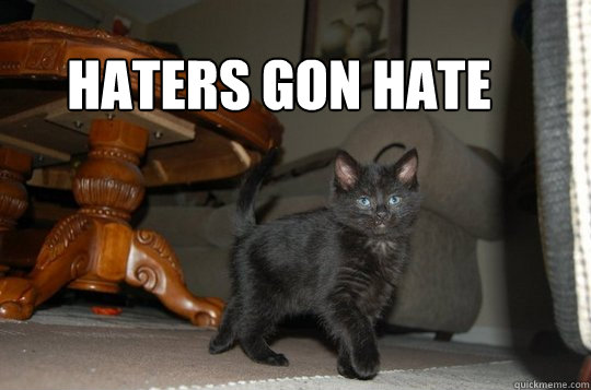 Haters Gon Hate - Haters Gon Hate  StruttinKitten