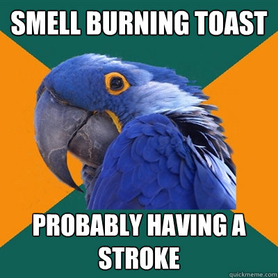 SMELL BURNING TOAST PROBABLY HAVING A STROKE - SMELL BURNING TOAST PROBABLY HAVING A STROKE  Paranoid Parrot