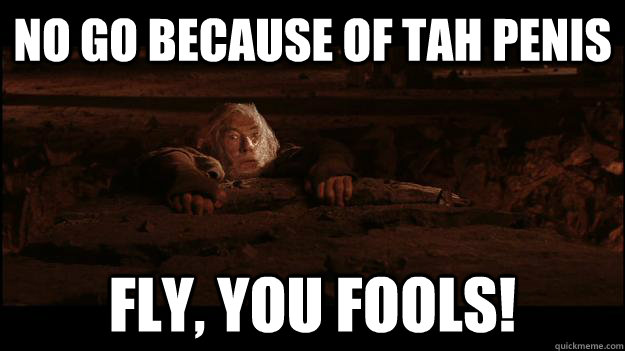 No go because of tah penis fly, you fools!  Gandalf