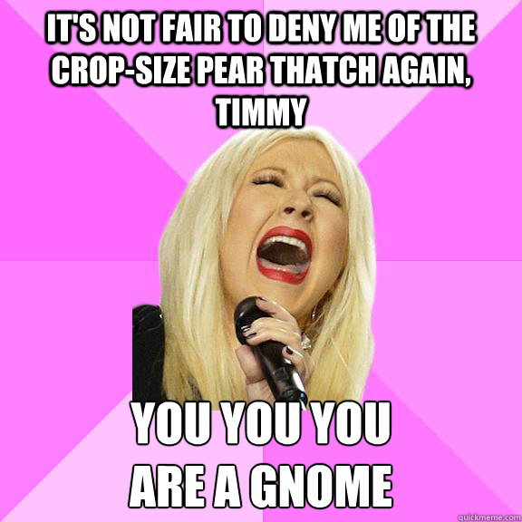 it's not fair to deny me of the crop-size pear thatch again, timmy you you you
are a gnome  Wrong Lyrics Christina