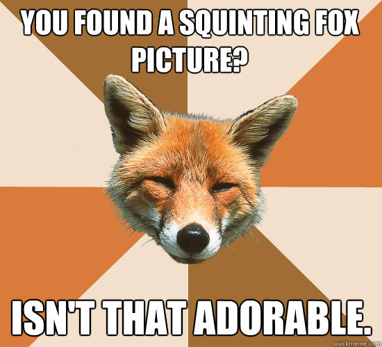 You found a squinting fox picture?
 Isn't that adorable.  Condescending Fox