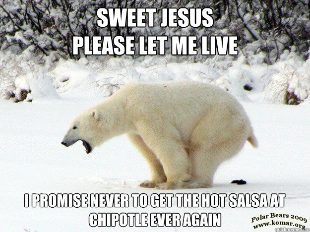 Sweet jesus 
please let me live I promise never to get the hot salsa at Chipotle ever again - Sweet jesus 
please let me live I promise never to get the hot salsa at Chipotle ever again  Worst Shit Polar Bear