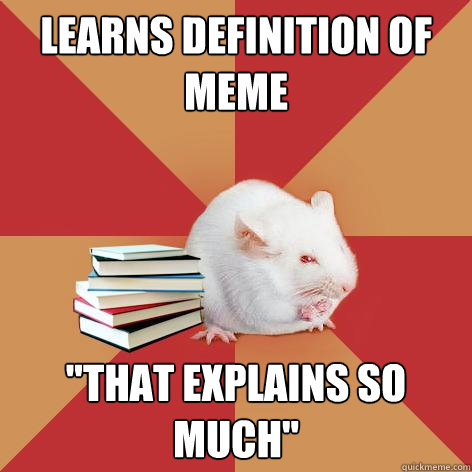 Learns definition of meme 