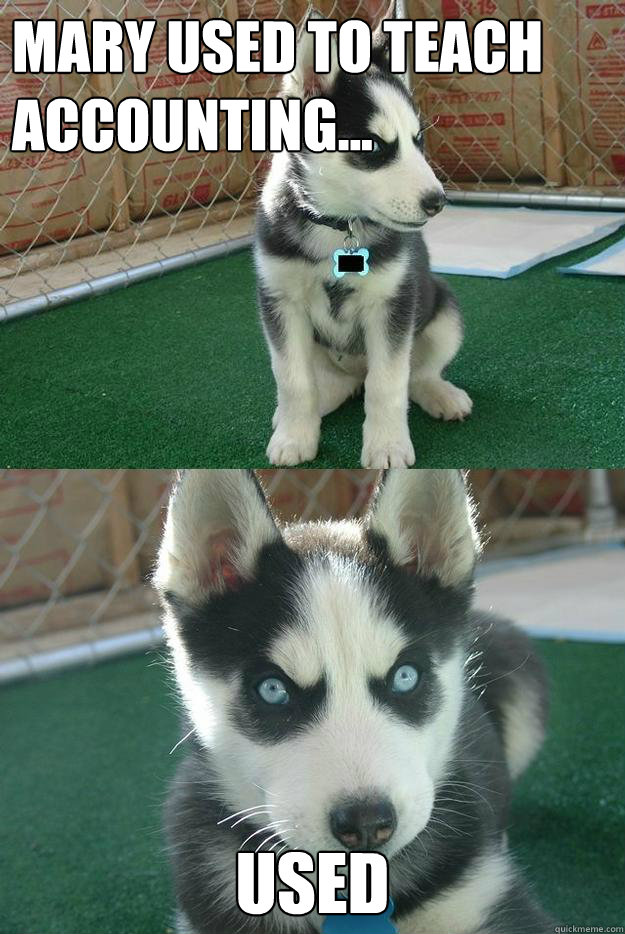 MARY useD to teach accounting... used  Insanity puppy