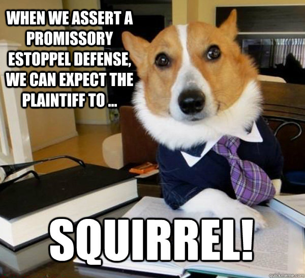 When we assert a promissory estoppel defense, we can expect the plaintiff to ... Squirrel! - When we assert a promissory estoppel defense, we can expect the plaintiff to ... Squirrel!  Lawyer Dog