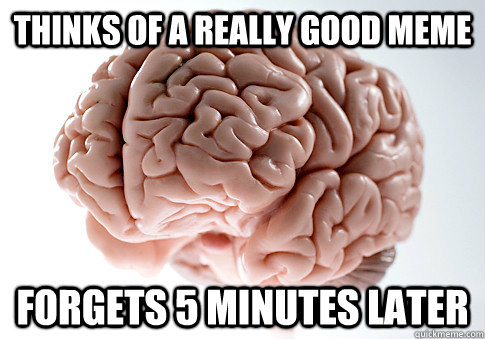 thinks of a really good meme forgets 5 minutes later  Scumbag Brain