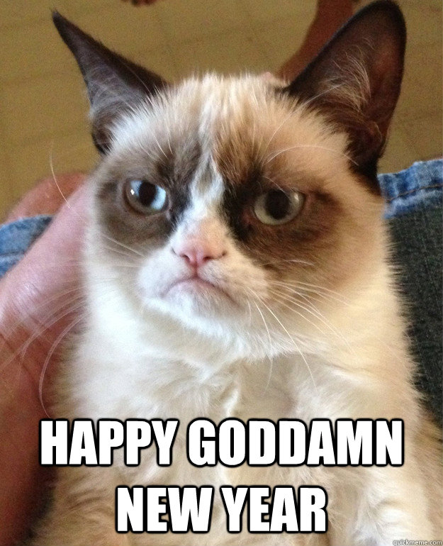  HAPPY GODDAMN NEW YEAR  Grumpy Cat