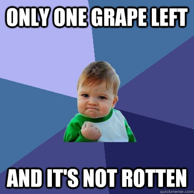 Only one grape left And it's not rotten  Success Kid