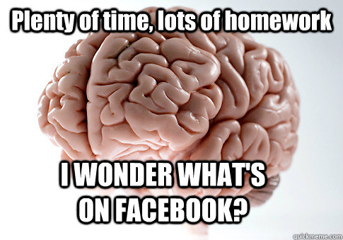 Plenty of time, lots of homework I WONDER WHAT'S ON FACEBOOK?  Scumbag Brain