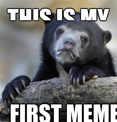 this is my  first meme - this is my  first meme  Confession Bear