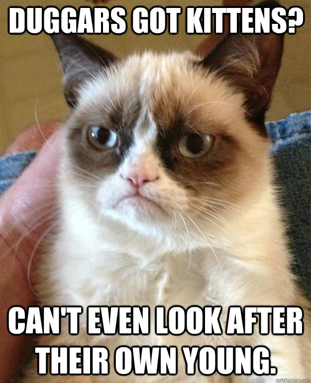 Duggars got kittens? Can't even look after their own young.  Grumpy Cat