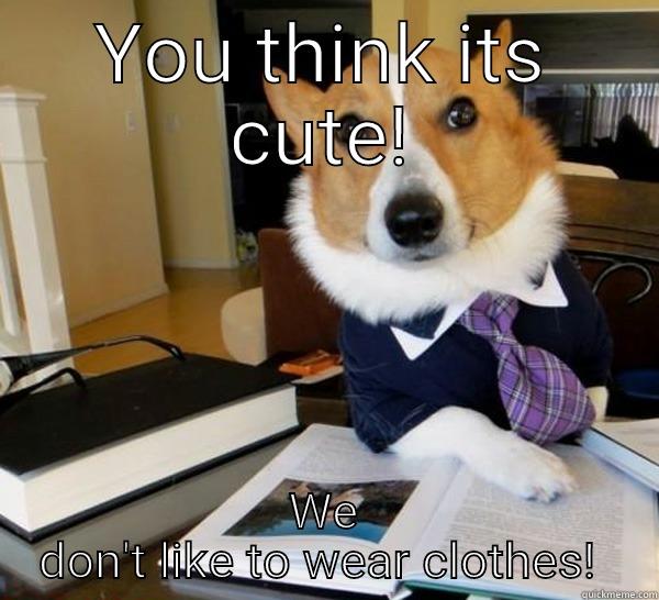 YOU THINK ITS CUTE! WE DON'T LIKE TO WEAR CLOTHES!  Lawyer Dog