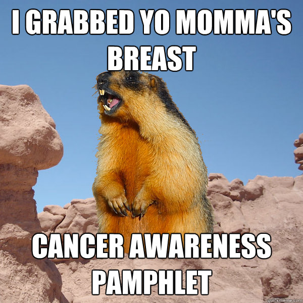 I grabbed yo momma's breast cancer awareness pamphlet  