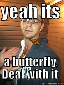 bitches love butterflys - YEAH ITS  A BUTTERFLY, DEAL WITH IT  Misc