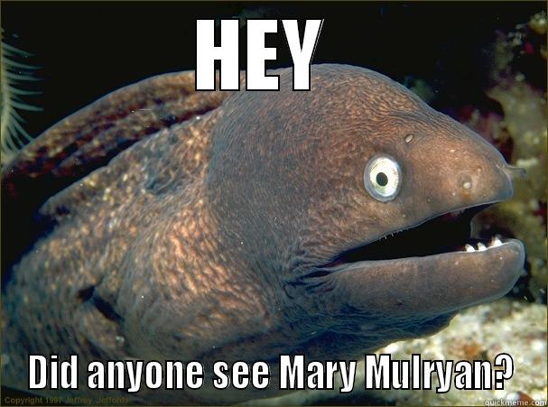 HEY  DID ANYONE SEE MARY MULRYAN? Bad Joke Eel