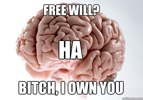 Free will? HA bitch, i own you  Scumbag Brain