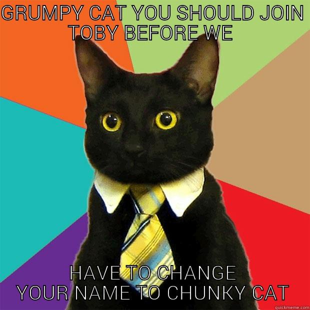 GRUMPY CAT YOU SHOULD JOIN TOBY BEFORE WE  HAVE TO CHANGE YOUR NAME TO CHUNKY CAT Business Cat