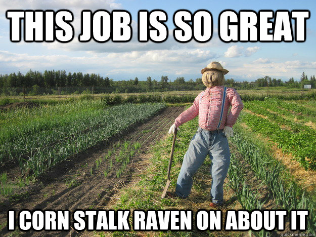 this job is so great I corn stalk raven on about it  Scarecrow