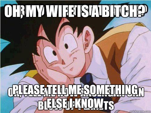 Oh, my wife is a bitch? Please tell me something else I know  Condescending Goku