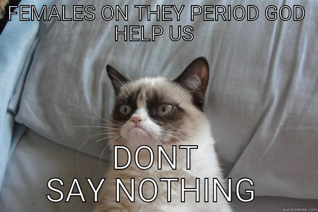 God Help Us - FEMALES ON THEY PERIOD GOD HELP US  DONT SAY NOTHING  Grumpy Cat