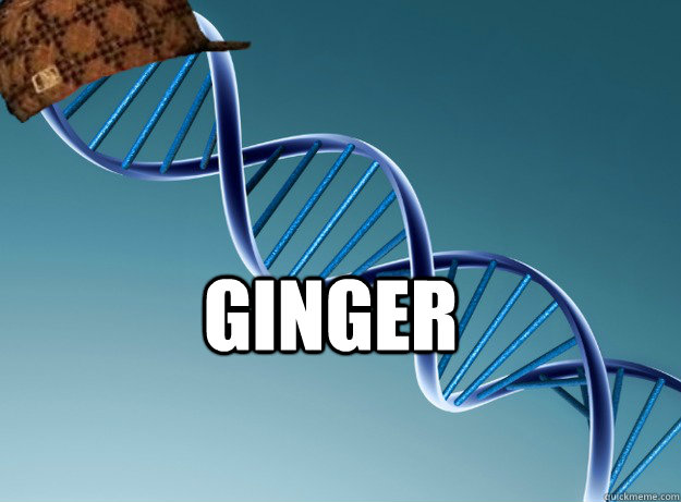 Ginger   Scumbag Genetics